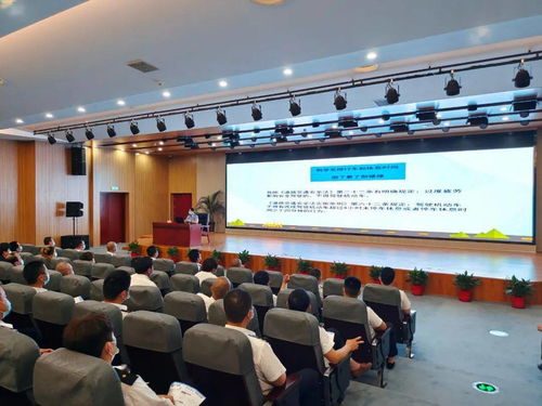 抖音月付套出来走闲鱼，安全吗？揭秘二手交易风险与防范