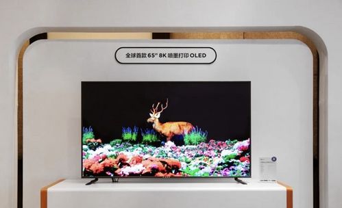 全球电子家电品牌50强概览