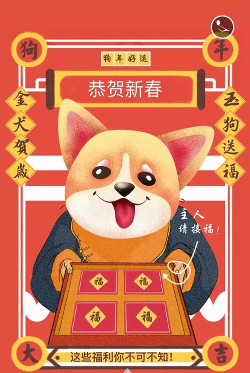羊小咩便荔卡刷卡，提现攻略大揭秘！