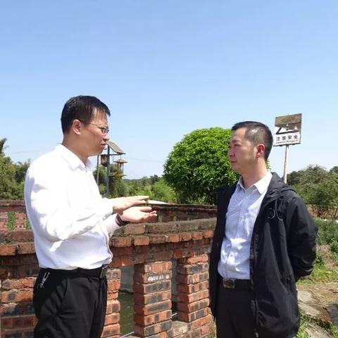 重庆人靠什么致富—深度解析与案例分享