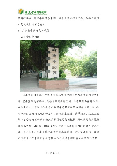 广东中医药品牌发展概览