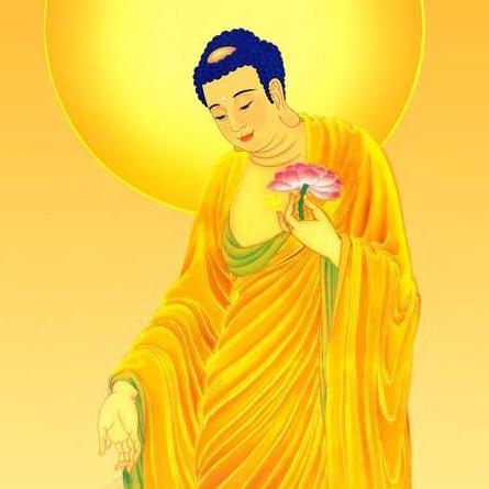 致富好料大解密，揭秘十二生肖中的财富之星