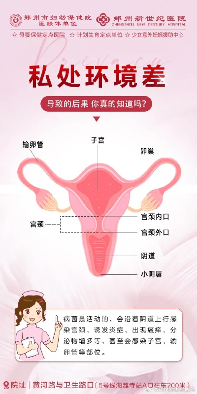 郑州妇科检查与医药品牌选择指南