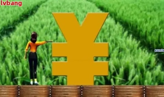 农业致富之路，贷款助力与策略解读