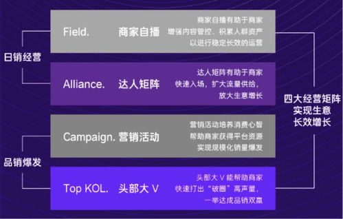 揭秘福建抖音月付套利，揭秘月付套出来的秘密！