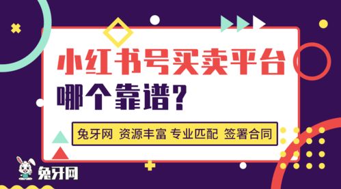 抖音月付套现攻略，教你轻松找到靠谱商家，安全套现不求人！