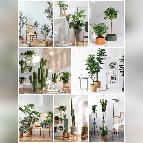 掬涵家居品牌介绍