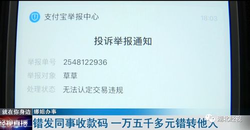羊小咩便荔卡收钱提现难题揭秘，案例分析及解决方案