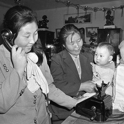 致富经，养什么最赚钱？详解养殖业的财富之路！
