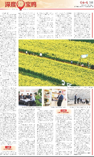宝鸡今年做什么生意赚钱？一起来探讨下