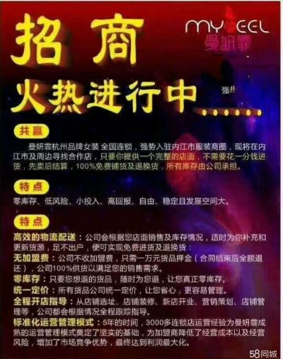 代理加盟说明范文，如何撰写一份详尽且吸引人的代理加盟说明