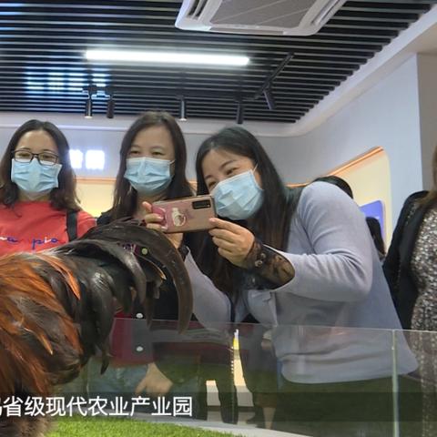 清远餐饮品牌升级方案