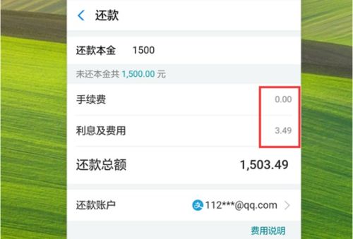 网商贷额度提现了怎么办？别急，看这里！