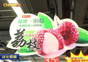 傣乡园鲜花饼加盟指南，开启您的甜蜜事业之旅