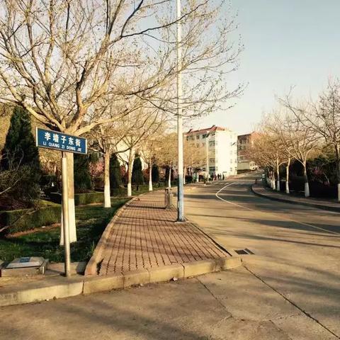 酒店住宿记录怎么查？一文全知道—方法与案例详解