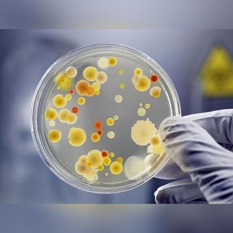 揭秘冰箱品牌质量排行榜，哪款才是您的保鲜专家？