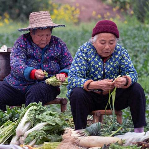 老人在超市如何赚钱，策略、案例与实用建议