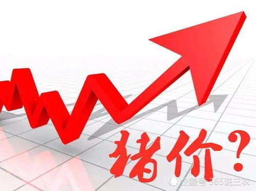 猪肉涨价前做什么赚钱最快？这些策略让你轻松把握商机
