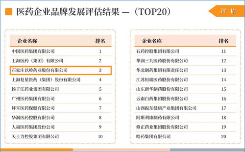 苏州医药品牌推广价格概览