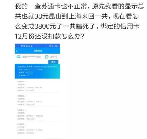 羊小咩便荔卡收钱提现，钱款到账速度揭秘！