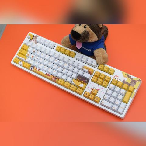 电脑外设品牌介绍