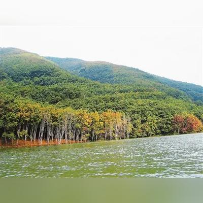 致富热线是什么生肖？揭秘生肖与财富之间的神秘联系