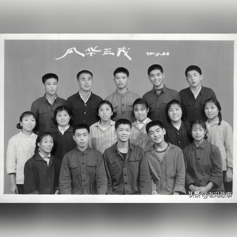 新疆知青如何做生意赚钱，热门行业与成功案例解析