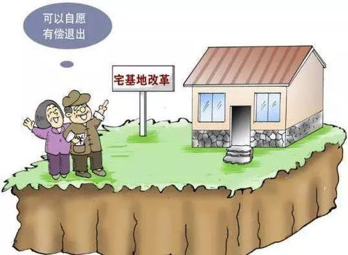 学生在农村做什么赚钱呢？探究农村创业新机遇