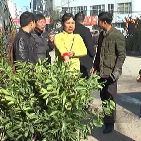 网友过年做什么生意好赚钱？热门商机与案例解析