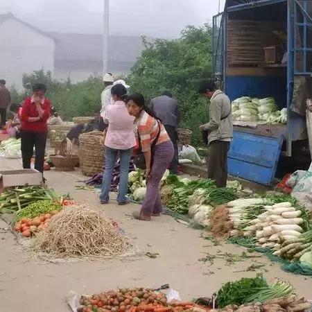 网友过年做什么生意好赚钱？热门商机与案例解析
