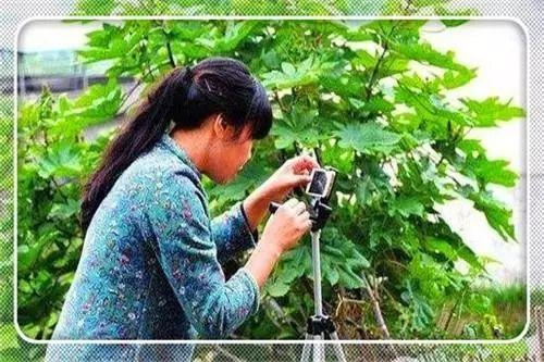 农女致富，探索乡村智慧与创业之路
