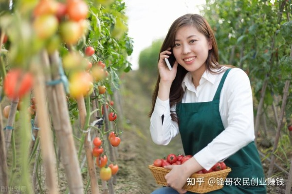 农女致富，探索乡村智慧与创业之路