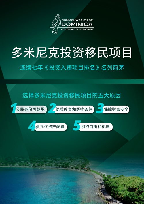 推广工作室加盟全攻略，如何轻松加盟优质项目，共创双赢局面