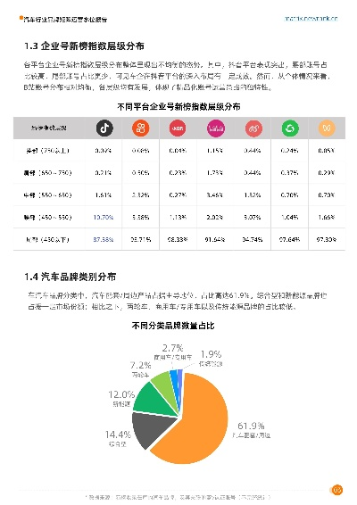 汽车品牌现状分析