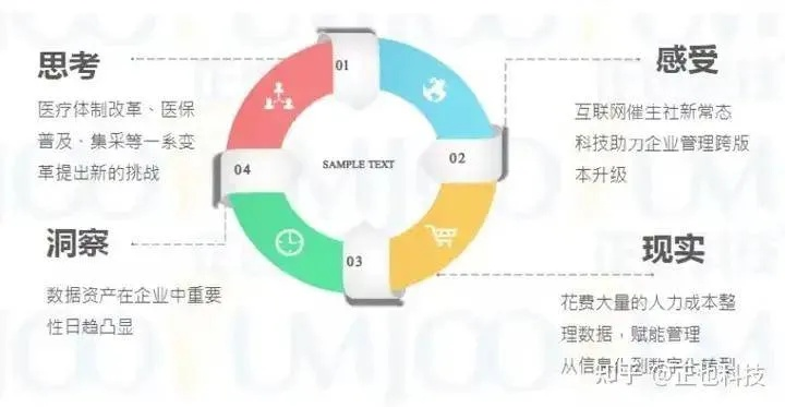 医药品牌运营策略，构建高效市场推广计划