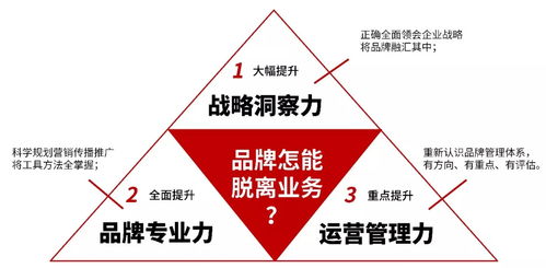 茜品牌化妆品的多元化战略