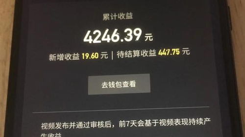 在皖南做什么代理赚钱呢？深度解析与案例分享