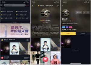 揭秘抖音月付套现，为何要身份证正反面？
