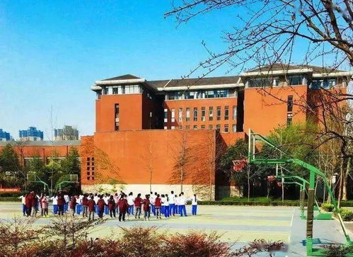 揭秘母婴市场中的高含金量品牌