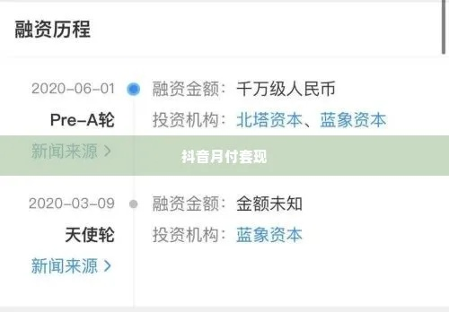 揭秘抖音月付套利攻略，如何轻松套出高额回报？