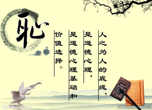 中国传统医药品牌的魅力与传承