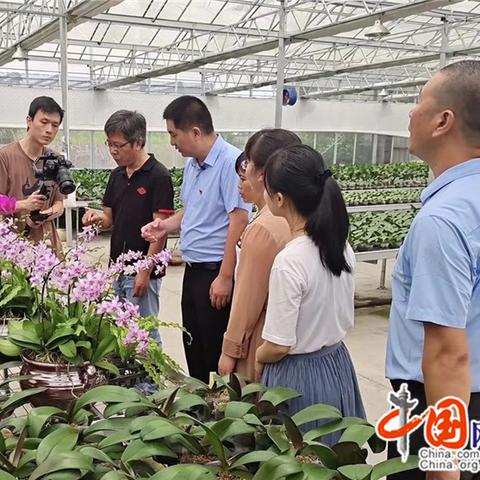 超级致富平台，探索其奥秘与实际应用