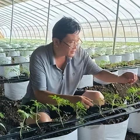 抖音月付套出来需要哪些步骤？详细攻略来了！
