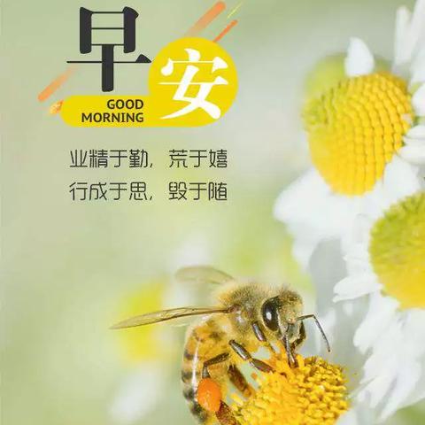 汽车品牌与星星的浪漫邂逅