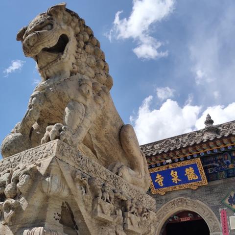 忻州山里做什么赚钱的工作—深度解析与案例分享