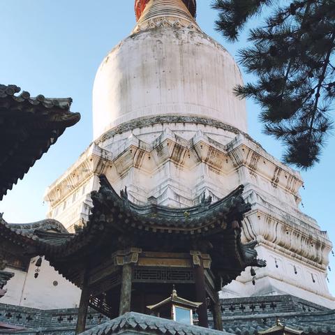忻州山里做什么赚钱的工作—深度解析与案例分享