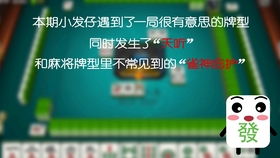 雀掌柜加盟怎么样？一文带你了解全面信息