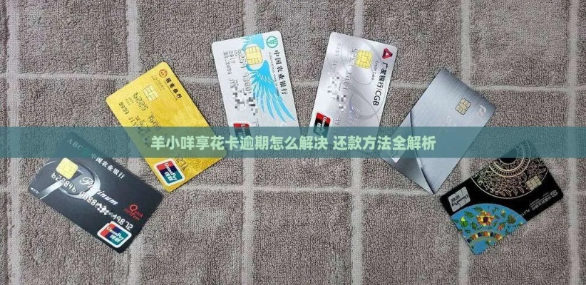 凤阳羊小咩享花卡套现，钱款到账速度揭秘！
