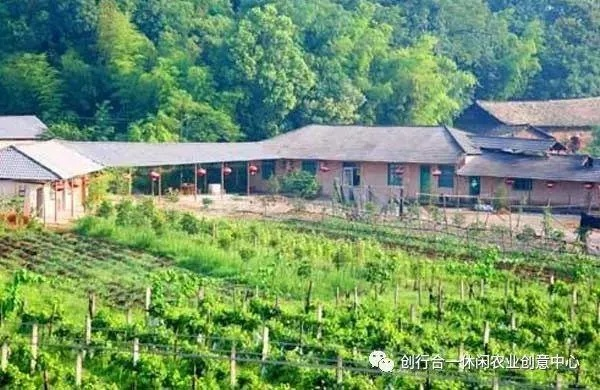 农家院如何赚钱，多元化经营策略与成功案例分析