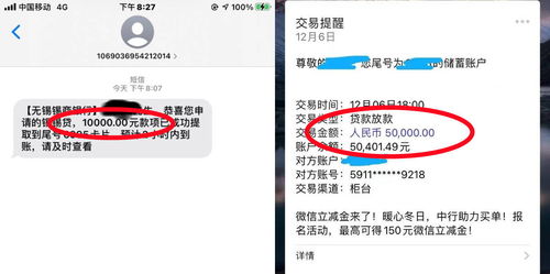 羊小咩便荔卡收款提现全攻略，速度解析及案例分享